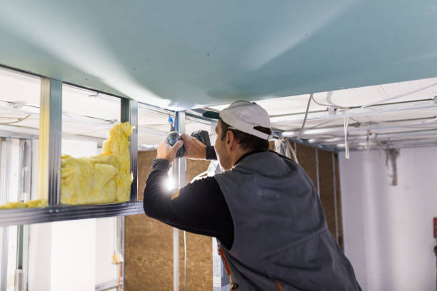 Professional Insulation Contractor in Wellington, CO